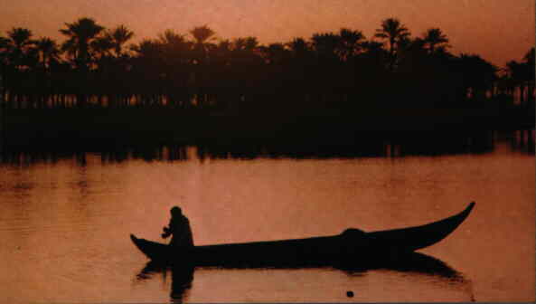 In den Suempfen / in the marches